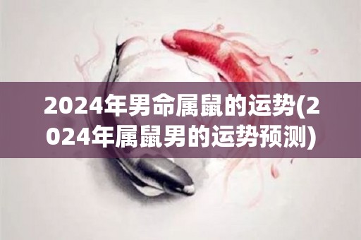 2024年男命属鼠的运势(2024年属鼠男的运势预测)