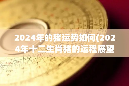2024年的猪运势如何(2024年十二生肖猪的运程展望)
