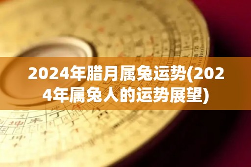 2024年腊月属兔运势(2024年属兔人的运势展望)