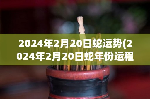 2024年2月20日蛇运势(2024年2月20日蛇年份运程展望)