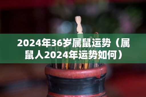 2024年36岁属鼠运势（属鼠人2024年运势如何）