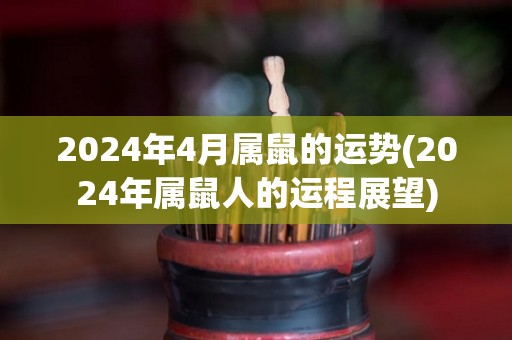 2024年4月属鼠的运势(2024年属鼠人的运程展望)