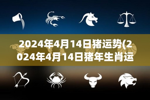 2024年4月14日猪运势(2024年4月14日猪年生肖运势)