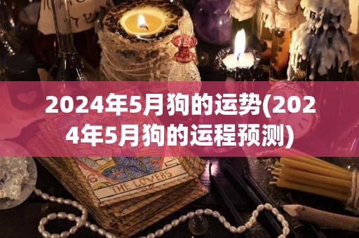 2024年5月狗的运势(2024年5月狗的运程预测)