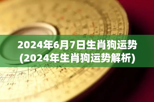 2024年6月7日生肖狗运势(2024年生肖狗运势解析)