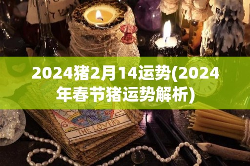 2024猪2月14运势(2024年春节猪运势解析)