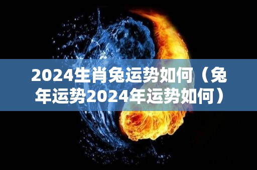 2024生肖兔运势如何（兔年运势2024年运势如何）
