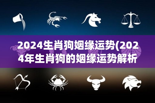 2024生肖狗姻缘运势(2024年生肖狗的姻缘运势解析)