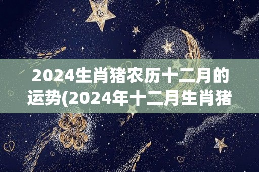 2024生肖猪农历十二月的运势(2024年十二月生肖猪运势大揭秘)