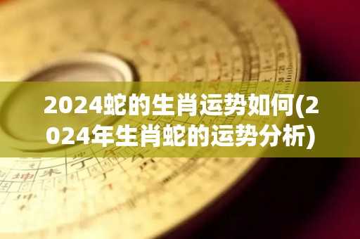 2024蛇的生肖运势如何(2024年生肖蛇的运势分析)