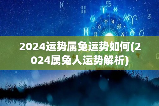 2024运势属兔运势如何(2024属兔人运势解析)