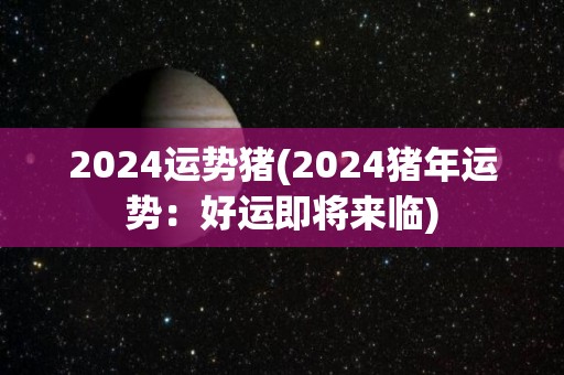 2024运势猪(2024猪年运势：好运即将来临)