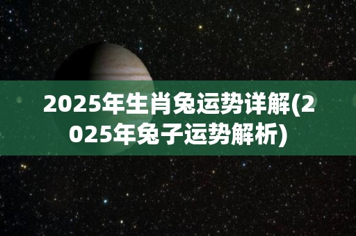 2025年生肖兔运势详解(2025年兔子运势解析)