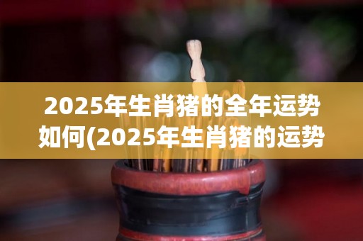 2025年生肖猪的全年运势如何(2025年生肖猪的运势解析)