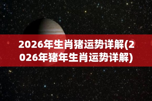 2026年生肖猪运势详解(2026年猪年生肖运势详解)