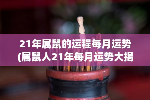 21年属鼠的运程每月运势(属鼠人21年每月运势大揭秘)