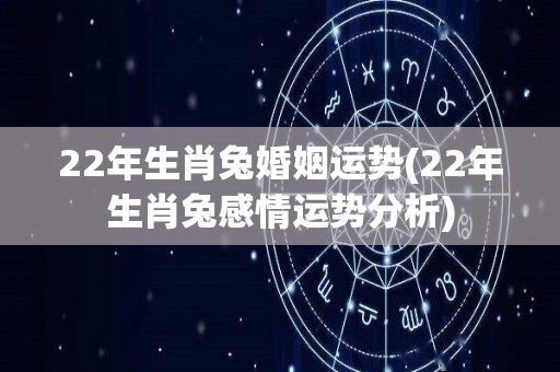22年生肖兔婚姻运势(22年生肖兔感情运势分析)
