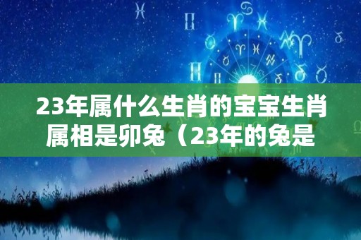 23年属什么生肖的宝宝生肖属相是卯兔（23年的兔是什么兔）