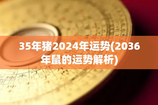 35年猪2024年运势(2036年鼠的运势解析)