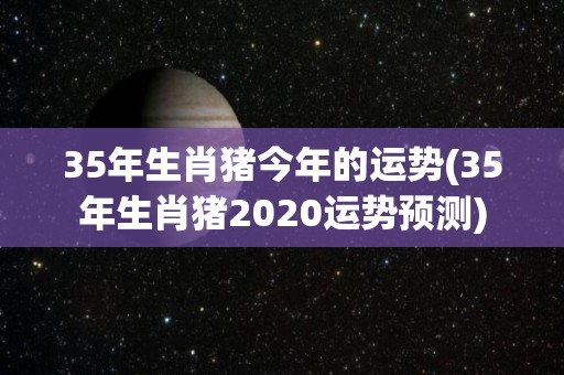 35年生肖猪今年的运势(35年生肖猪2020运势预测)