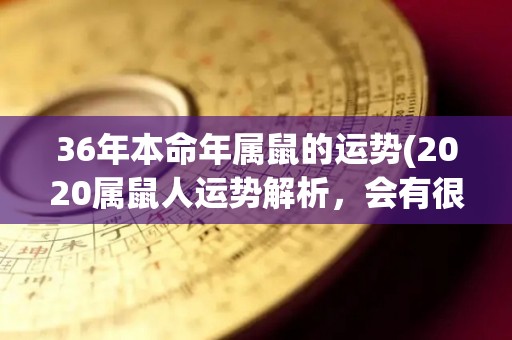 36年本命年属鼠的运势(2020属鼠人运势解析，会有很多转机驾临！)