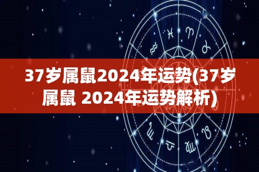 37岁属鼠2024年运势(37岁属鼠 2024年运势解析)