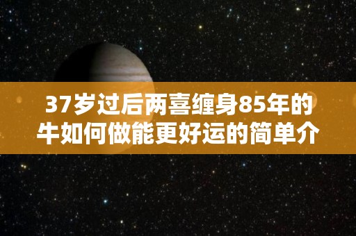 37岁过后两喜缠身85年的牛如何做能更好运的简单介绍
