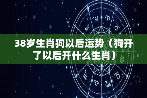38岁生肖狗以后运势（狗开了以后开什么生肖）