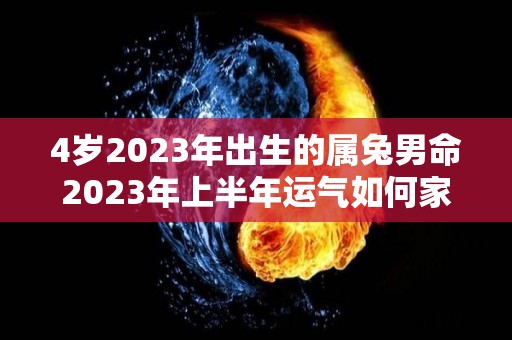 4岁2023年出生的属兔男命2023年上半年运气如何家长要细心照顾（2024年属兔的几岁）