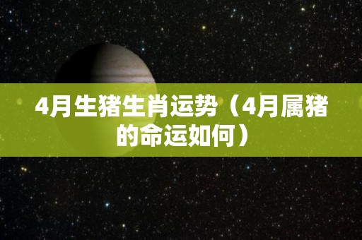 4月生猪生肖运势（4月属猪的命运如何）