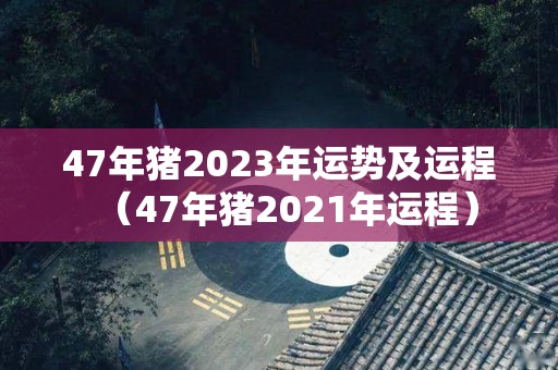 47年猪2023年运势及运程（47年猪2021年运程）