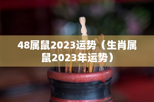 48属鼠2023运势（生肖属鼠2023年运势）