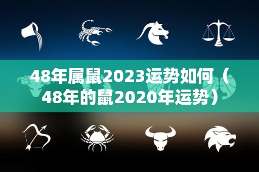 48年属鼠2023运势如何（48年的鼠2020年运势）