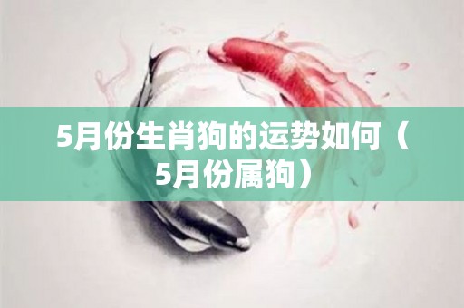 5月份生肖狗的运势如何（5月份属狗）