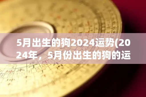 5月出生的狗2024运势(2024年，5月份出生的狗的运势如何？)