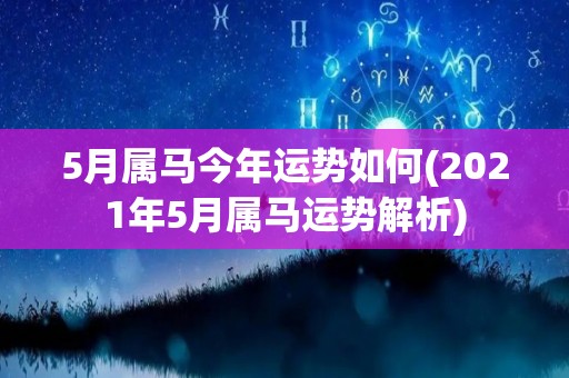 5月属马今年运势如何(2021年5月属马运势解析)