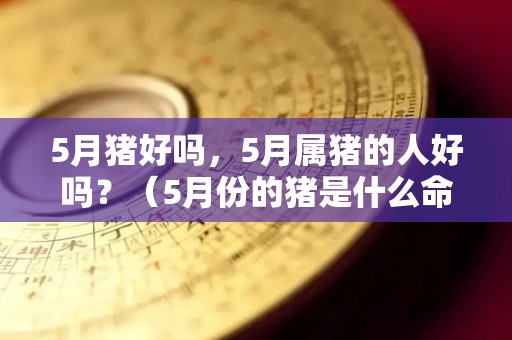 5月猪好吗，5月属猪的人好吗？（5月份的猪是什么命）