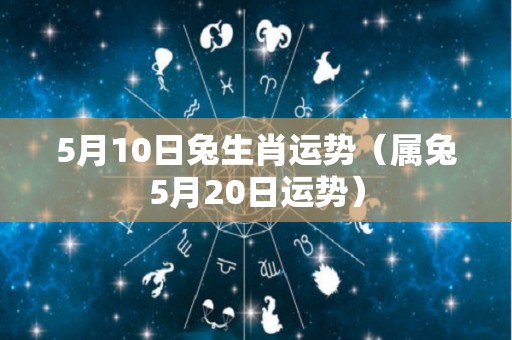 5月10日兔生肖运势（属兔5月20日运势）