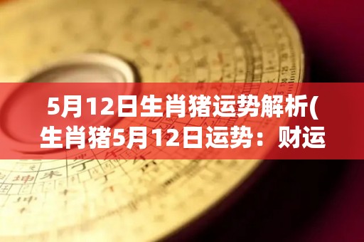 5月12日生肖猪运势解析(生肖猪5月12日运势：财运亨通，事业有突破！)