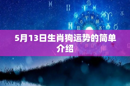 5月13日生肖狗运势的简单介绍