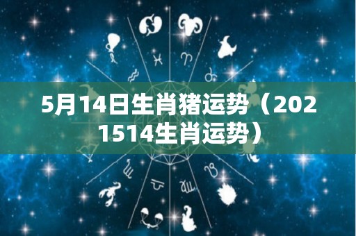 5月14日生肖猪运势（2021514生肖运势）