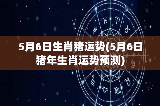 5月6日生肖猪运势(5月6日猪年生肖运势预测)