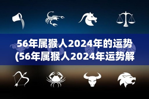 56年属猴人2024年的运势(56年属猴人2024年运势解析)