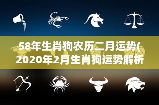 58年生肖狗农历二月运势(2020年2月生肖狗运势解析)