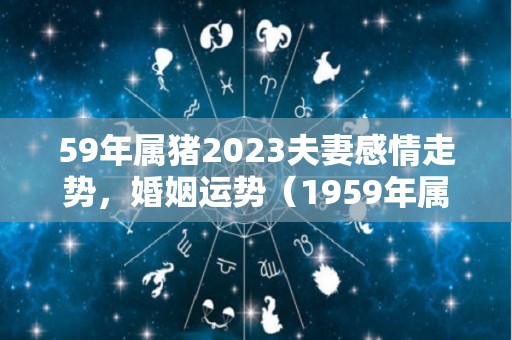 59年属猪2023夫妻感情走势，婚姻运势（1959年属猪2023年运势及运程）