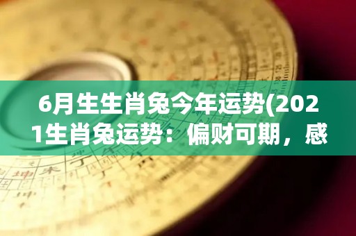 6月生生肖兔今年运势(2021生肖兔运势：偏财可期，感情平稳，需留意健康问题)