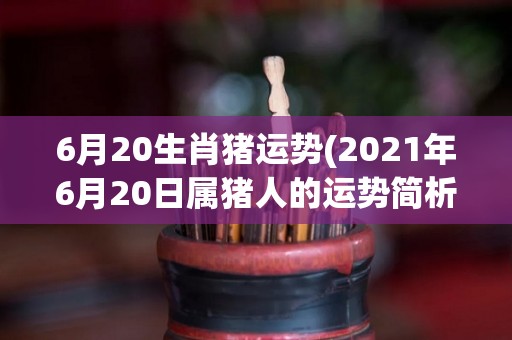 6月20生肖猪运势(2021年6月20日属猪人的运势简析)