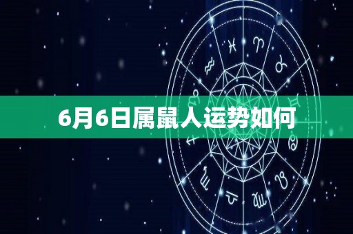 6月6日属鼠人运势如何