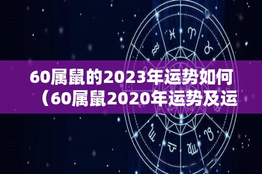 60属鼠的2023年运势如何（60属鼠2020年运势及运程）