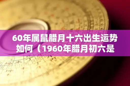 60年属鼠腊月十六出生运势如何（1960年腊月初六是什么星座）